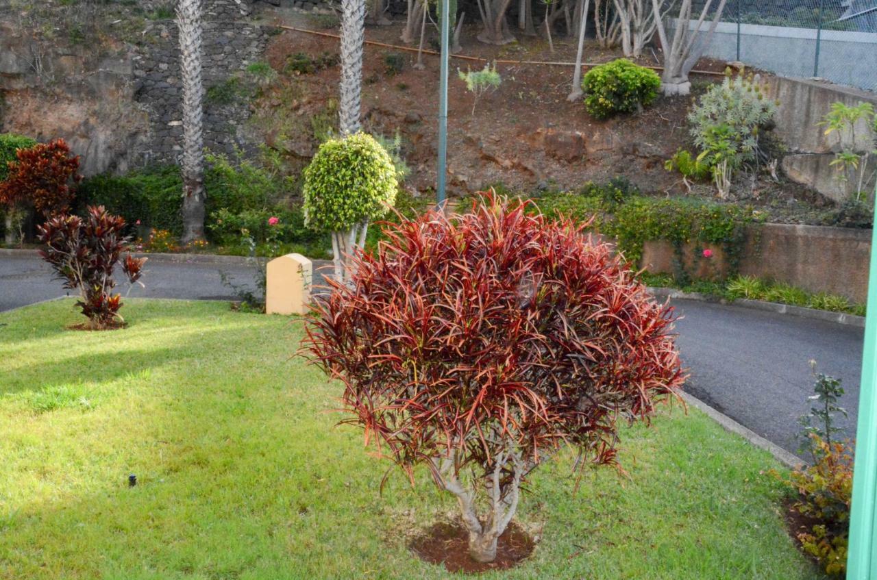 Vista Formosa Funchal Funchal (Madeira) Exterior foto